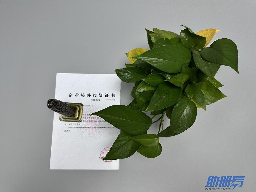 海外公司后期維護(hù)知識(shí)介紹！